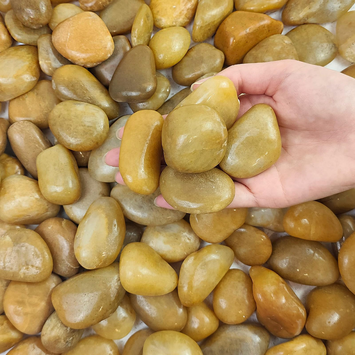 10 lbs Yellow River Rocks