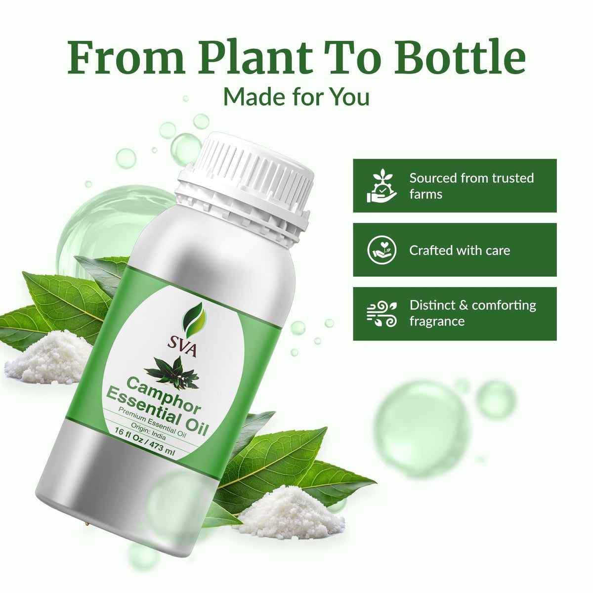 SVA Camphor Essential Oil (16 Fl Oz)
