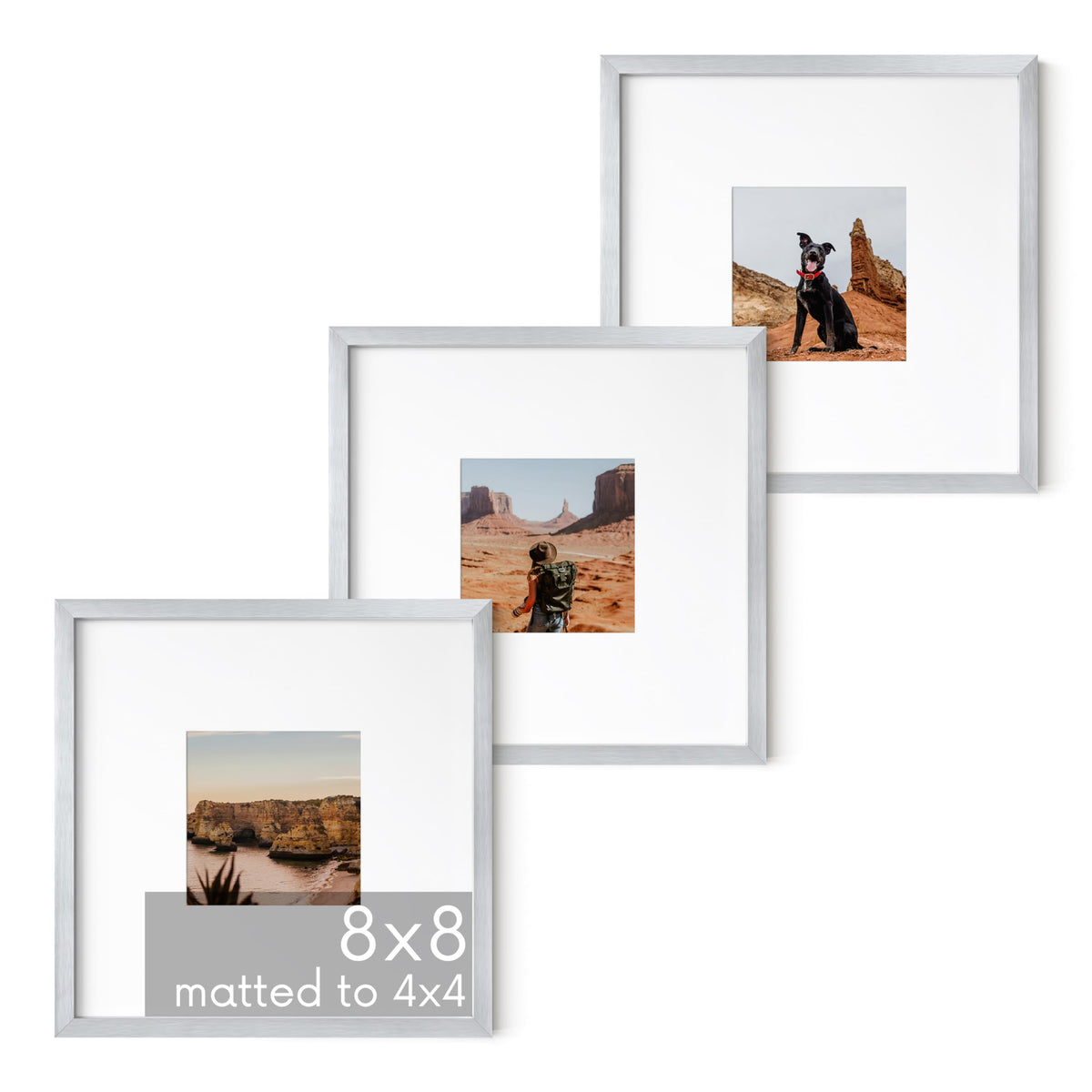 8x8 Silver Metal Picture Frames Matted to 4x4