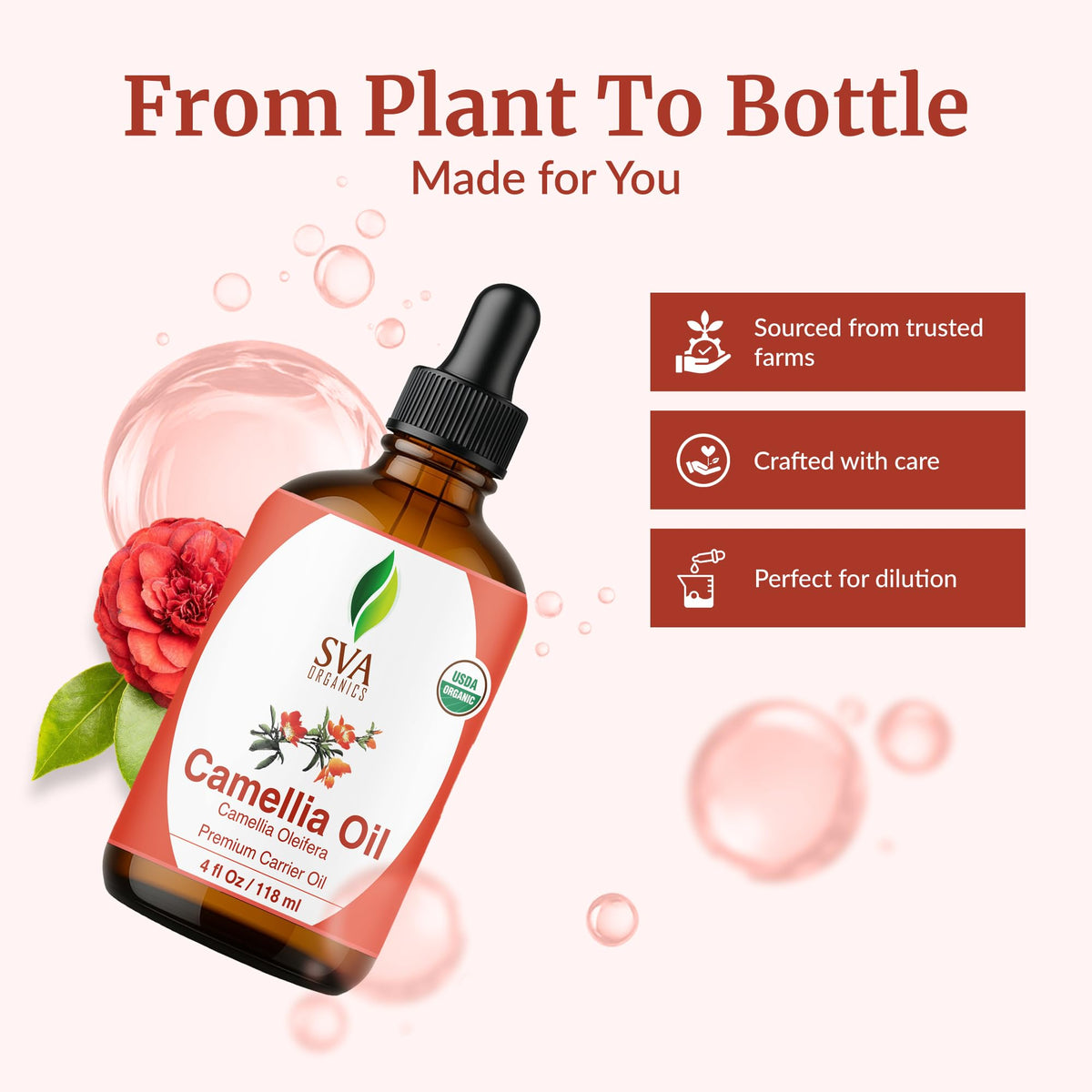 SVA Organic Camellia Seed Carrier Oil with Dropper (4 Fl Oz)