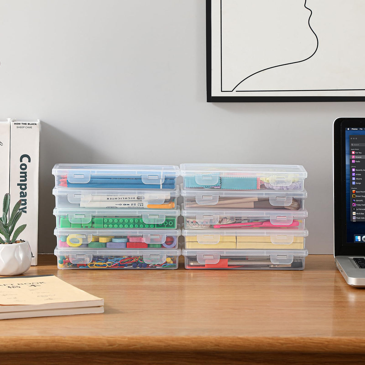 10 Pack Flat Shallow Clear Storage Box (10 Count)