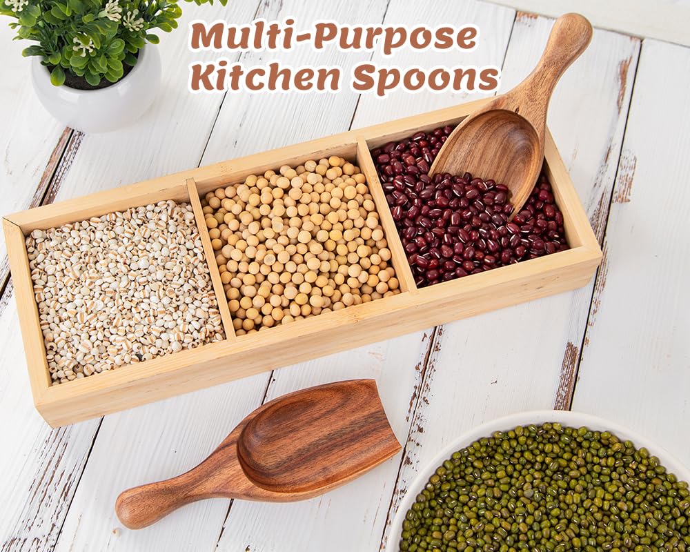Acacia Coffee Scoop (4 Count)