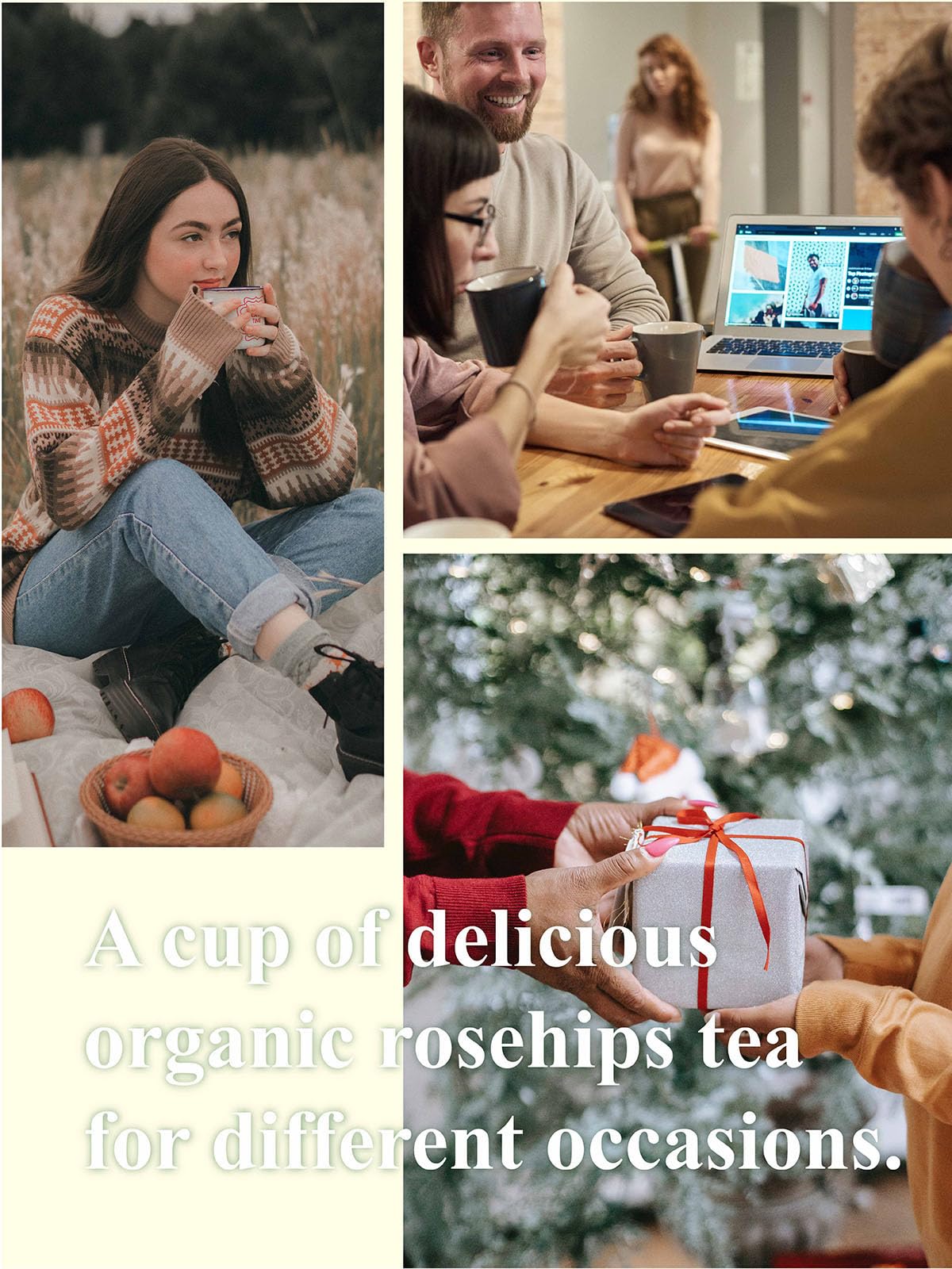 Organic Rose Hips Tea (16 Ounce)