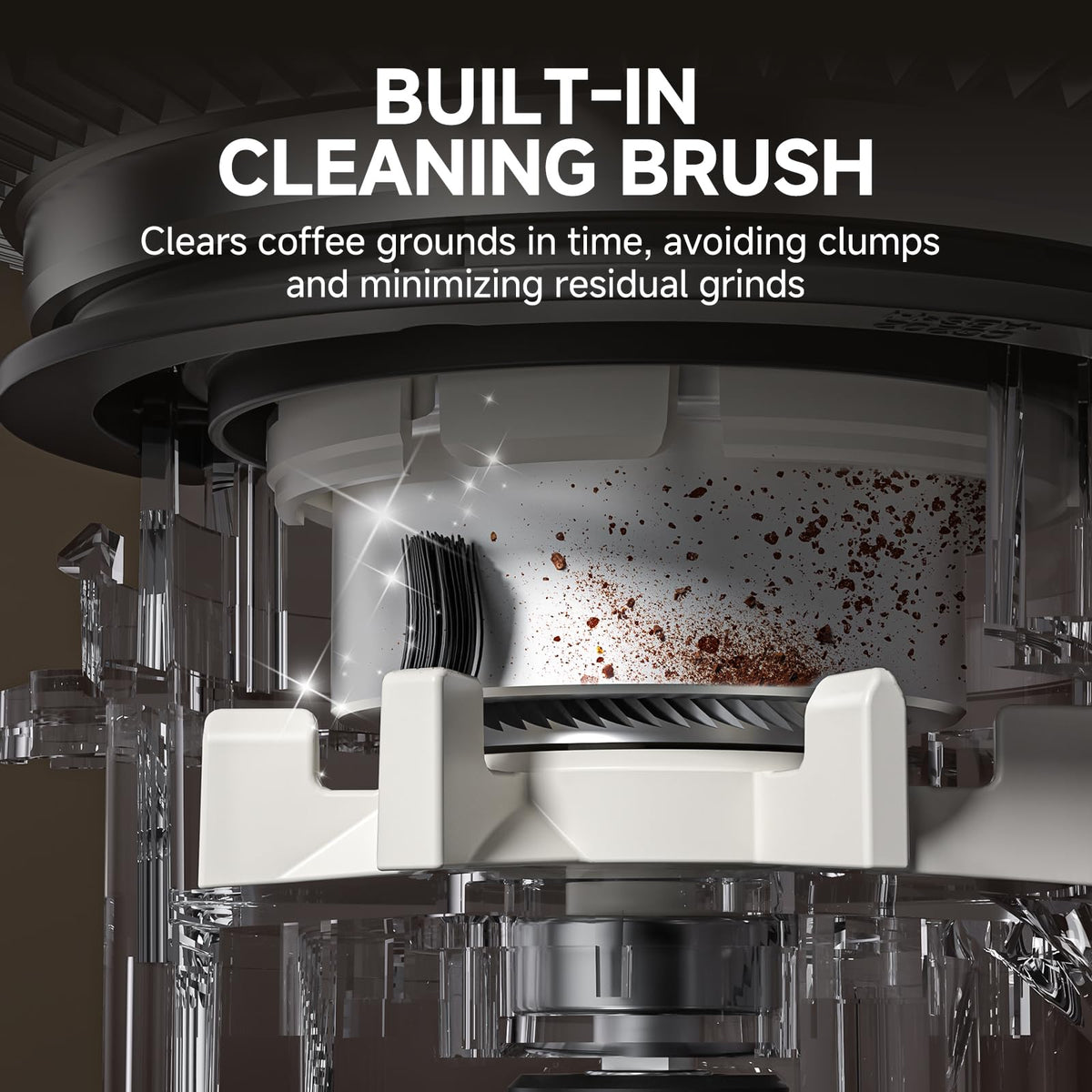 Burr Coffee Grinder