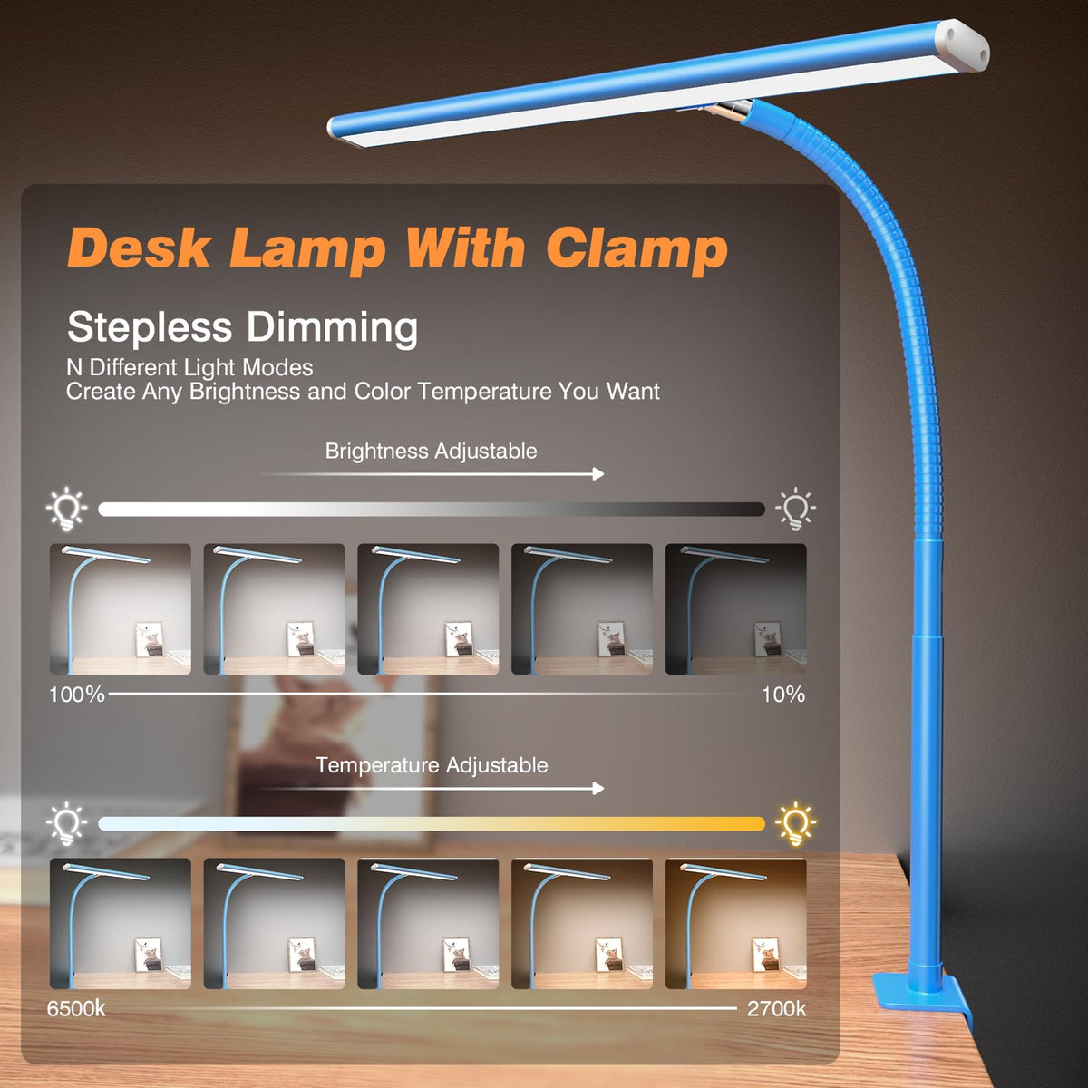 LED Desk Lamp with Clamp
