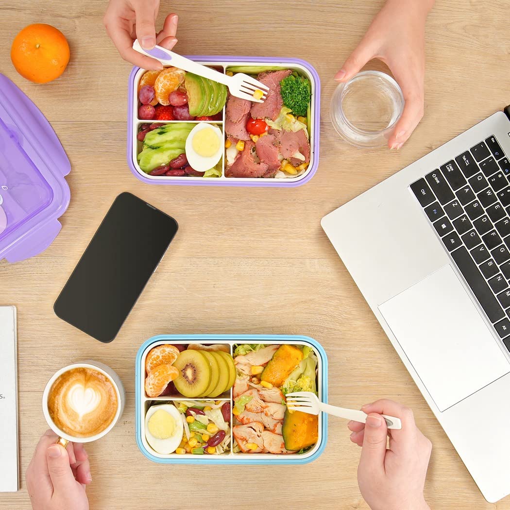 Bento Lunch Box for Adults Kids