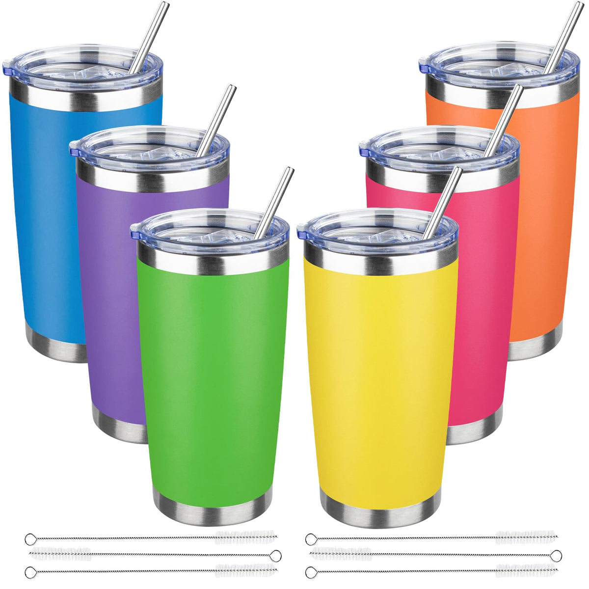 20 oz Tumbler with Lids and Straws (6 Count)
