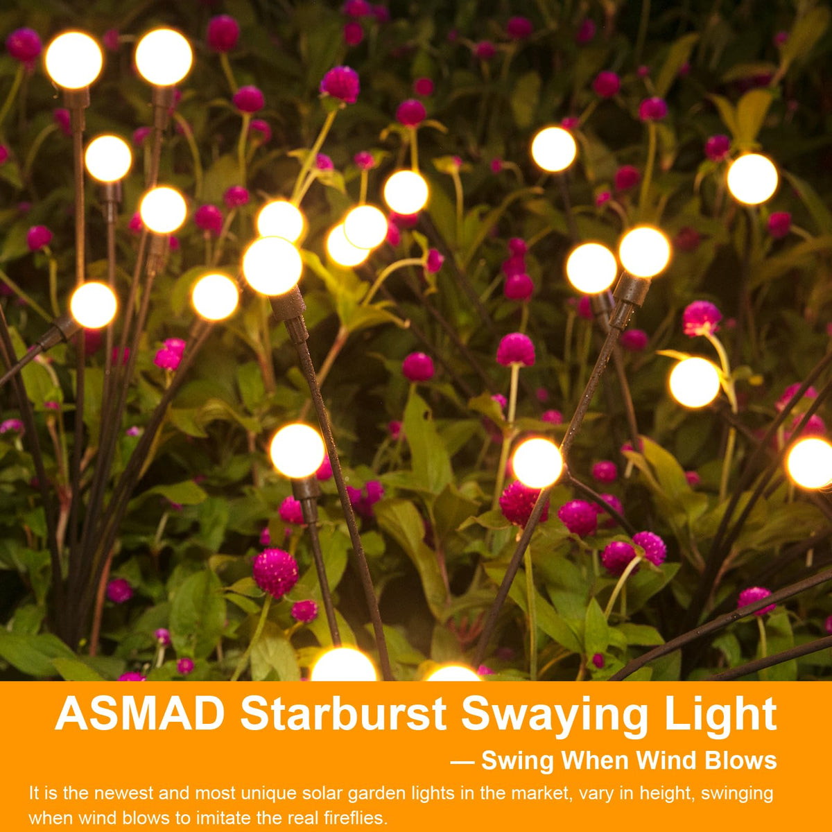 Solar Lights Outdoor (6 Count)