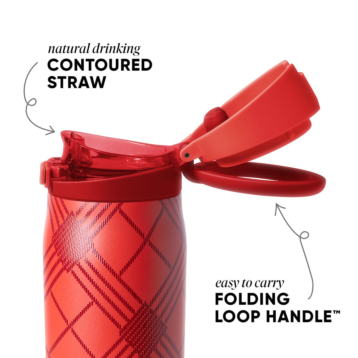 Christmas Water Bottle with Straw & Handle