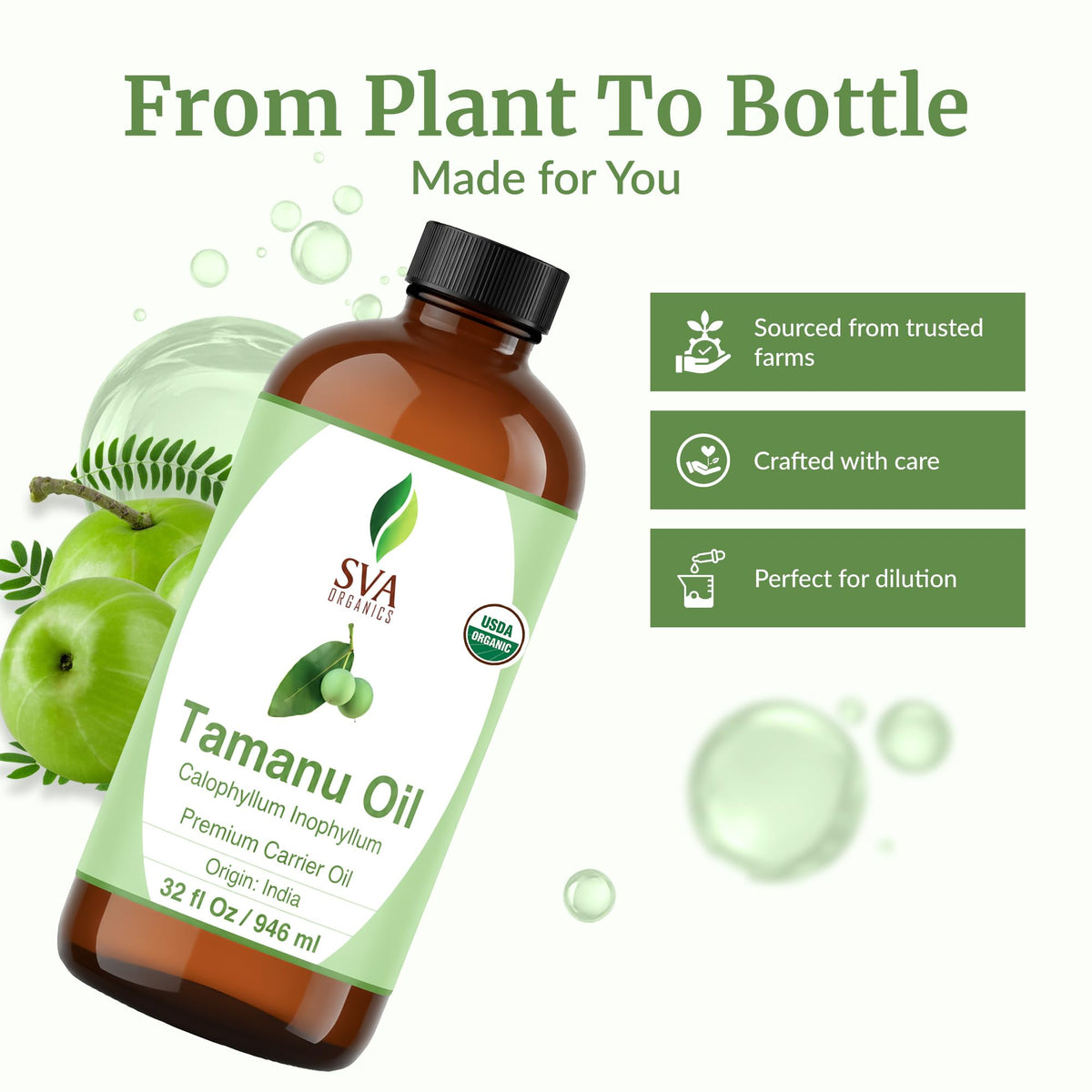 SVA Organic Tamanu Seed Carrier Oil (32 Fl Oz)