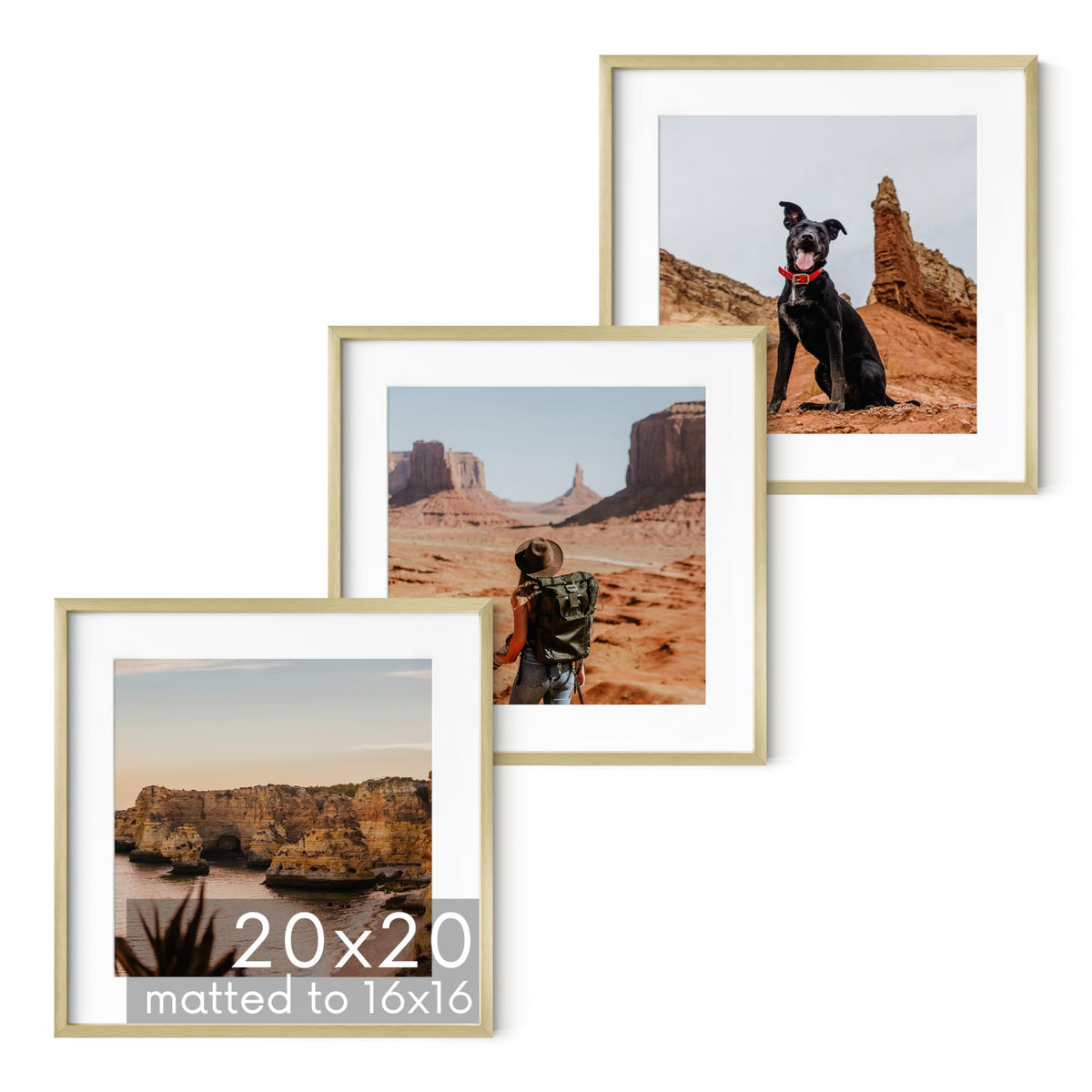 20x20 Gold Metal Picture Frames Matted to 16x16 (3 Count)