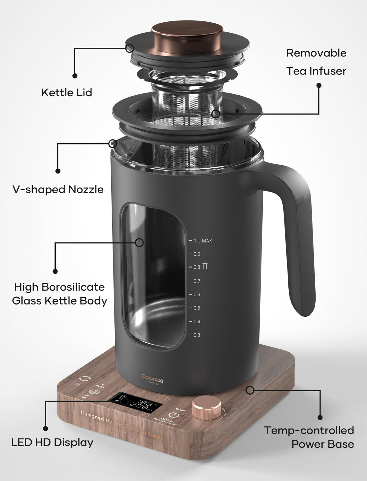 Electric Tea Kettle with Infuser