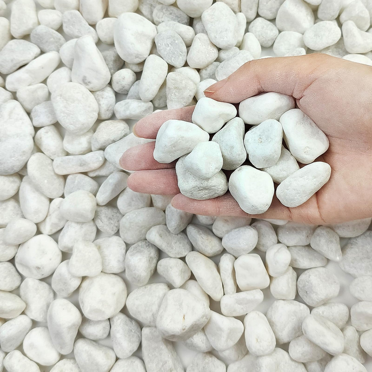 10 lbs White River Rocks for Garden