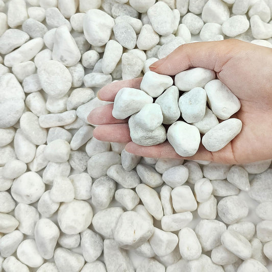 10 lbs White River Rocks for Garden