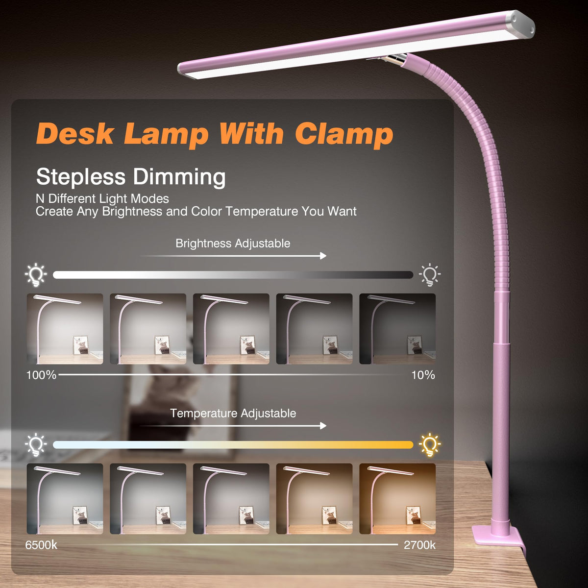 LED Desk Lamp with Clamp