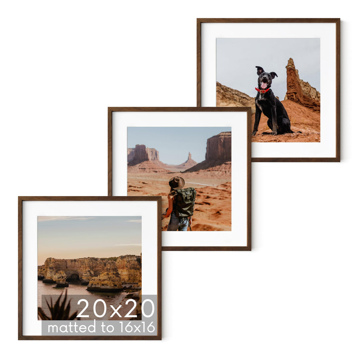 Walnut Oak Wood 20x20 Picture Frames (3 Count)