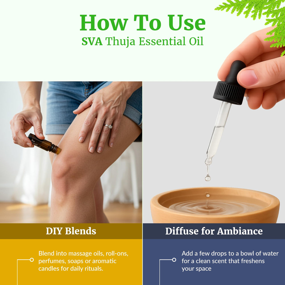 SVA Thuja Essential Oil (4 Fl Oz)