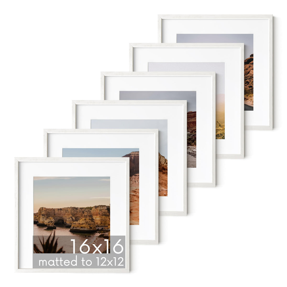 White Oak Wood 16x16 Picture Frames (6 Count)
