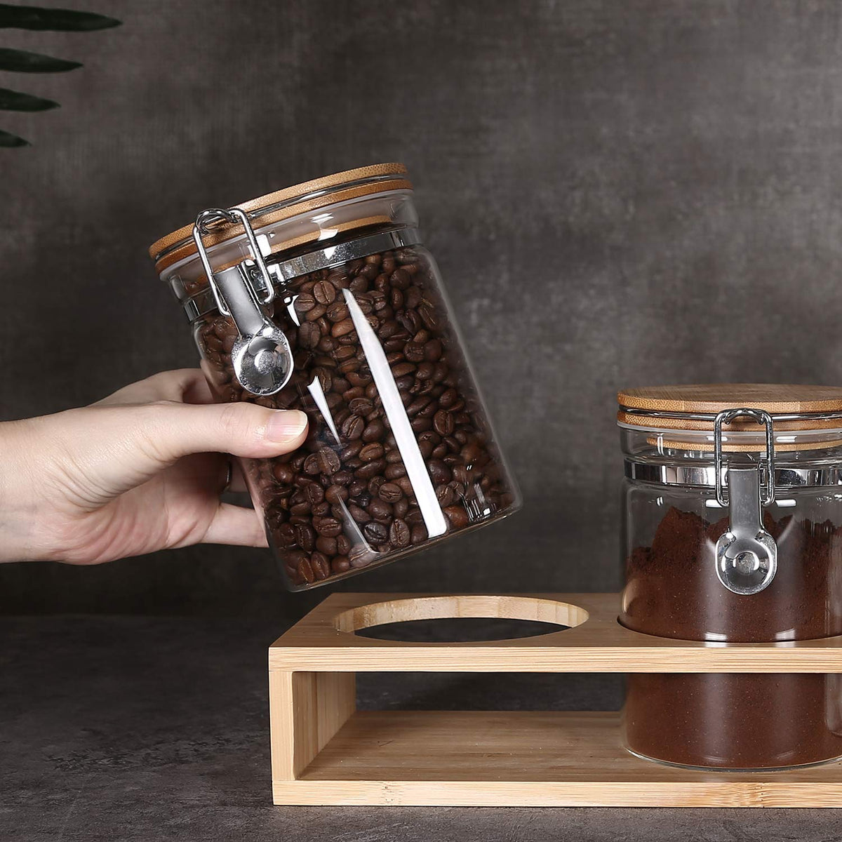 KKC Glass Tea Canister Set of 3 with Bamboo Lids & Spoons