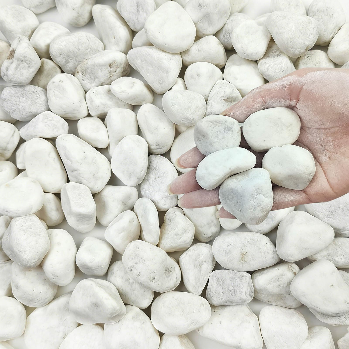 20 lbs White Stones for Landscaping
