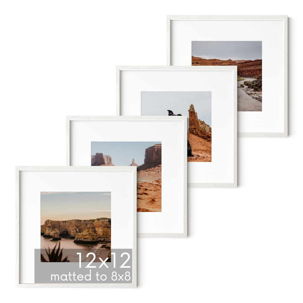White Oak Wood 12x12 Picture Frames (4 Count)