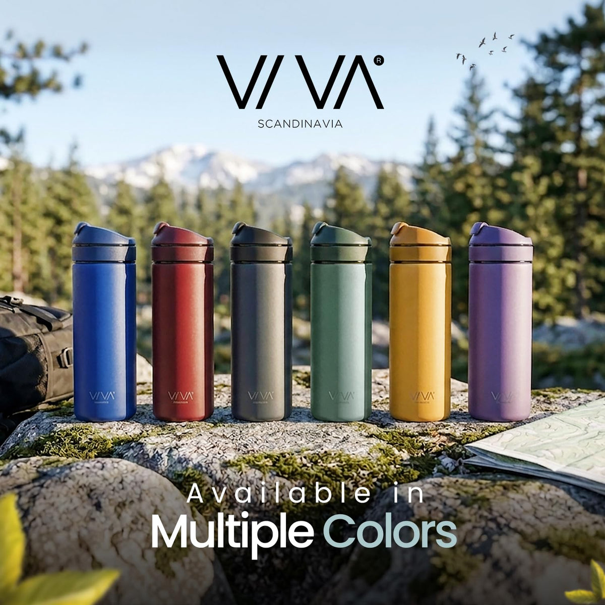 VIVA Recharge Tea Infuser Bottle