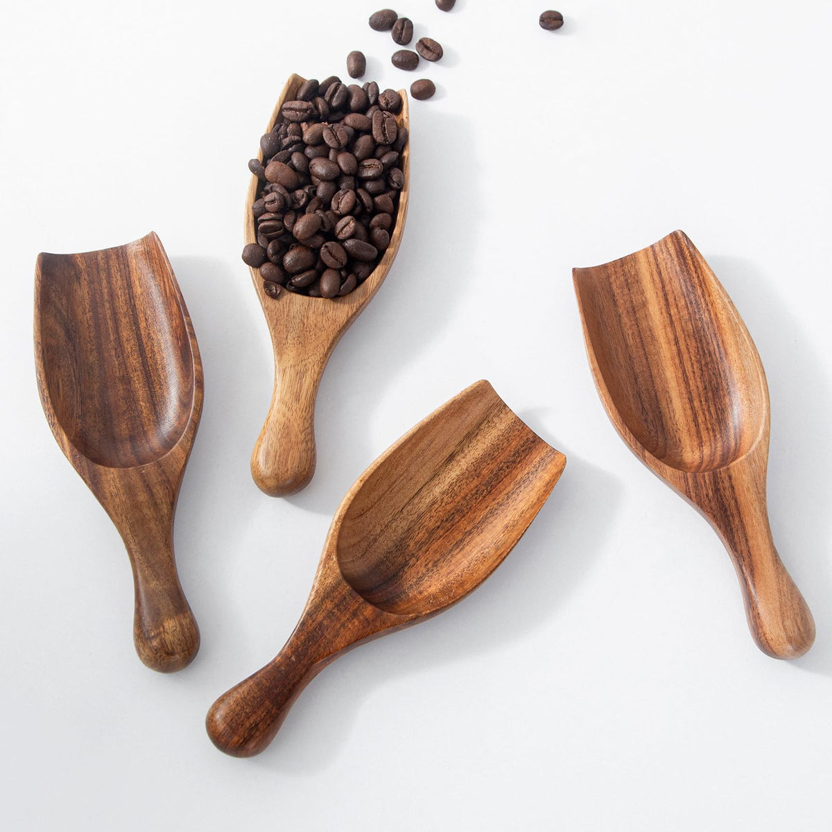 Acacia Coffee Scoop (4 Count)