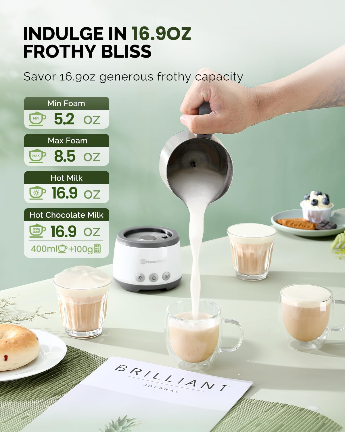 16.9OZ BasicFro 500 Electric Milk Steamer and Frother