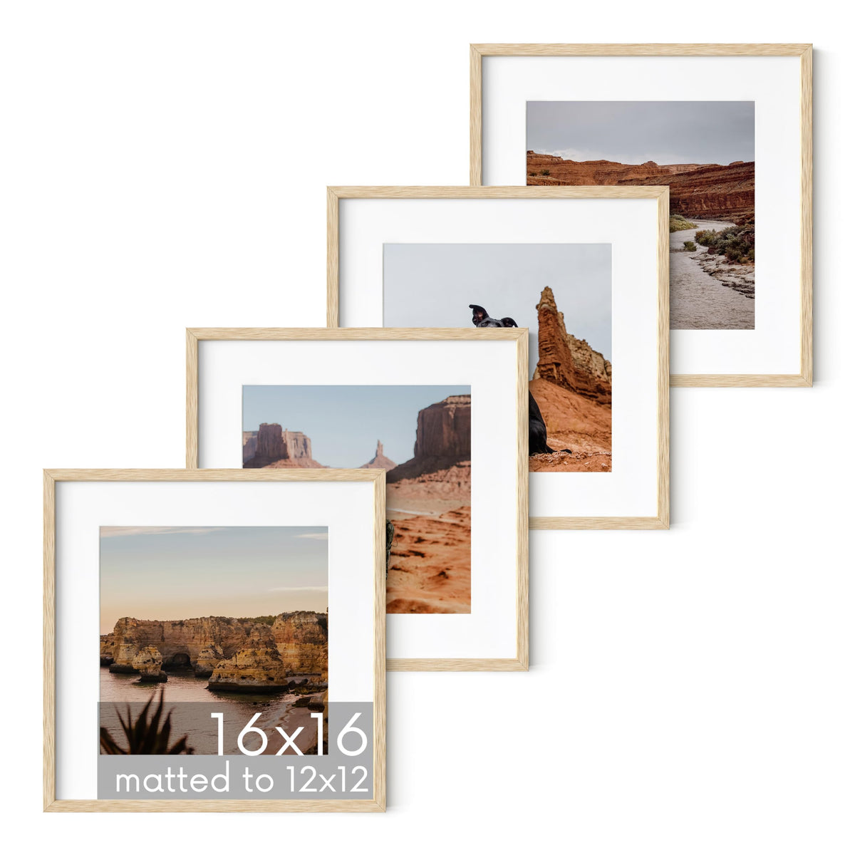 Beige Oak Wood 16x16 Picture Frames (4 Count)