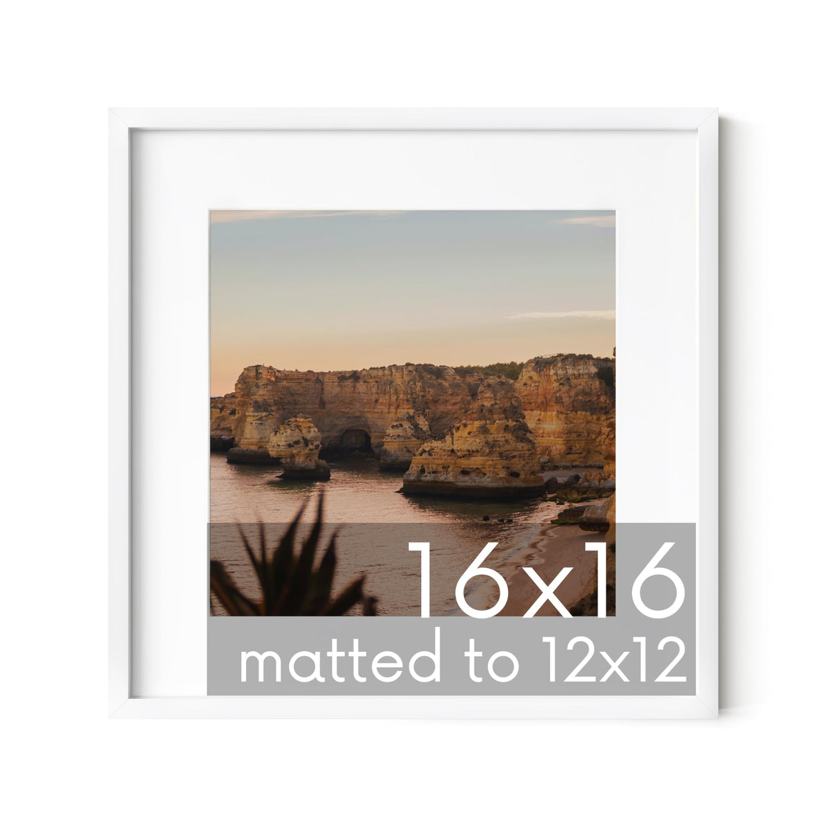 16x16 White Metal Frame Matted to 12x12