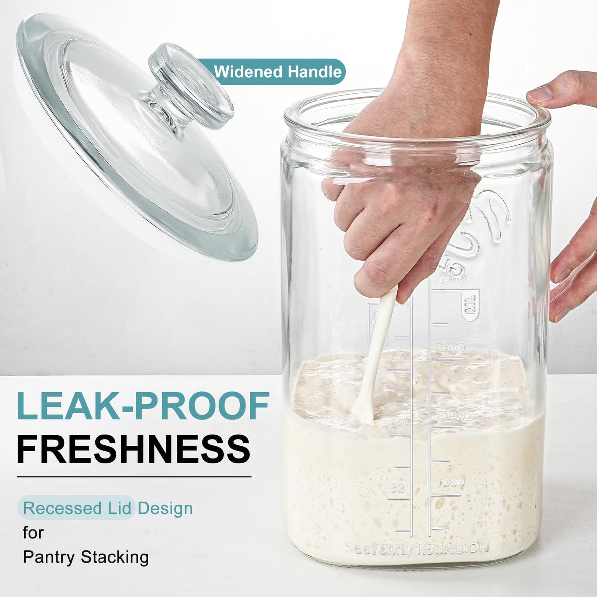 2 Pack 1.5 Gallon Glass Jar with Lid (2 Count)