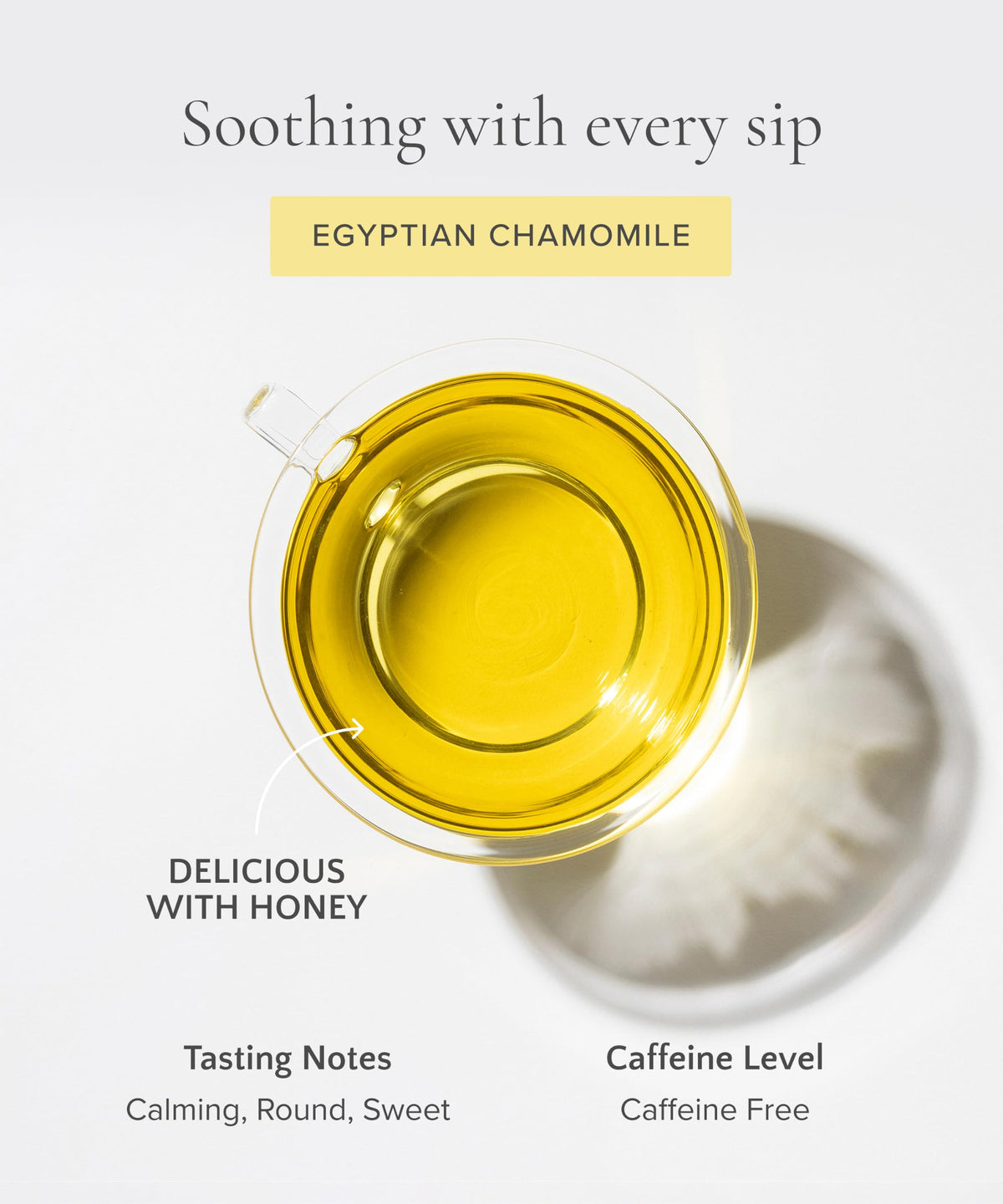 Egyptian Chamomile Tea Organic Loose Leaf Herbal Tea (4 Ounce)