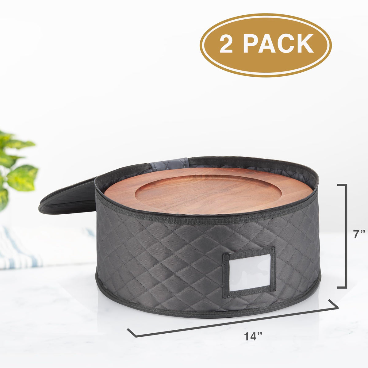 2 Pack China Storage Container for Big Dinner Plate (2 Count)