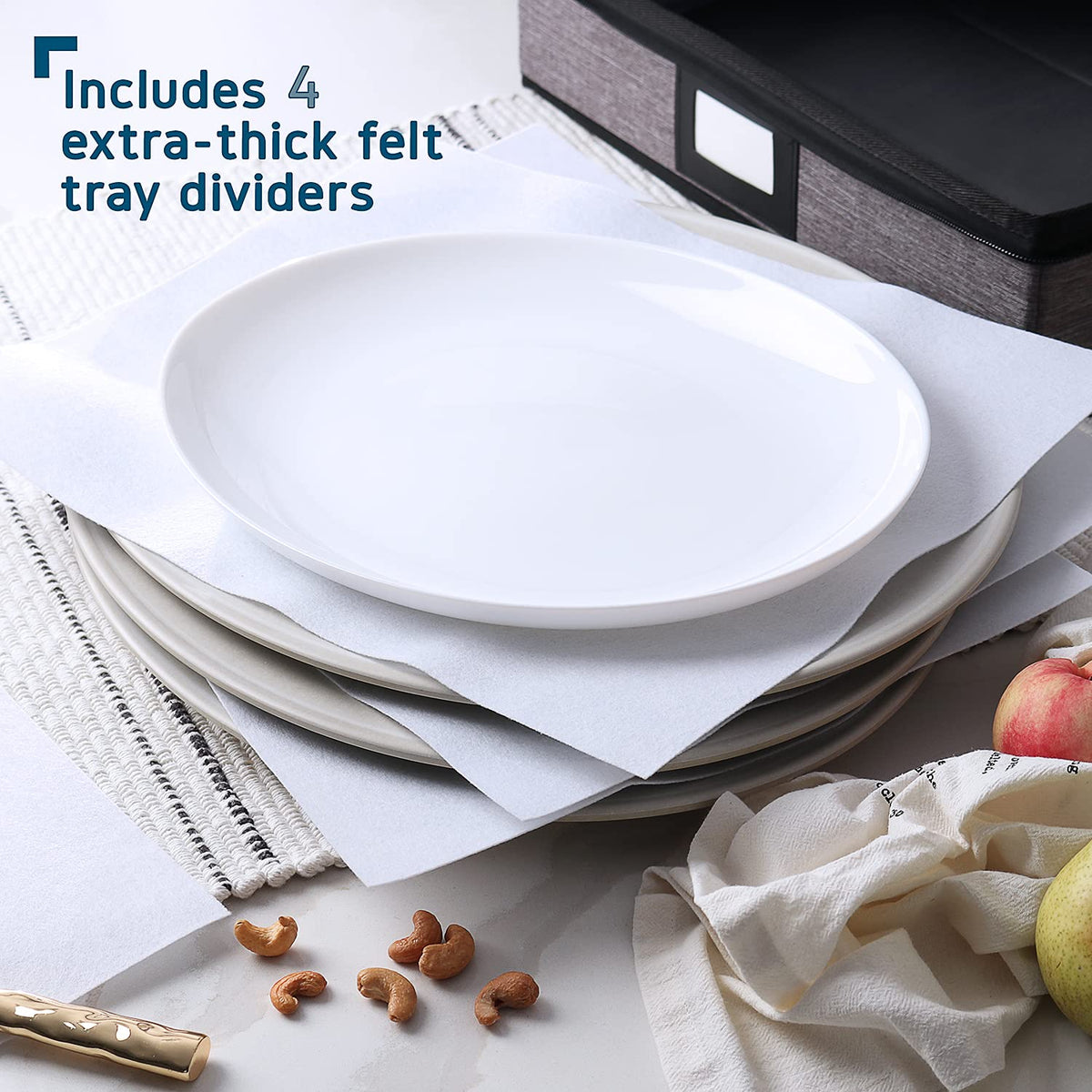 Platter Storage Cases
