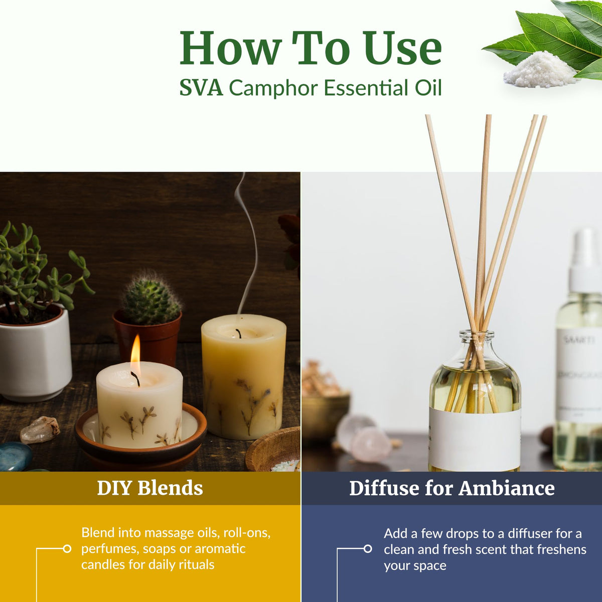 SVA Camphor Essential Oil (16 Fl Oz)
