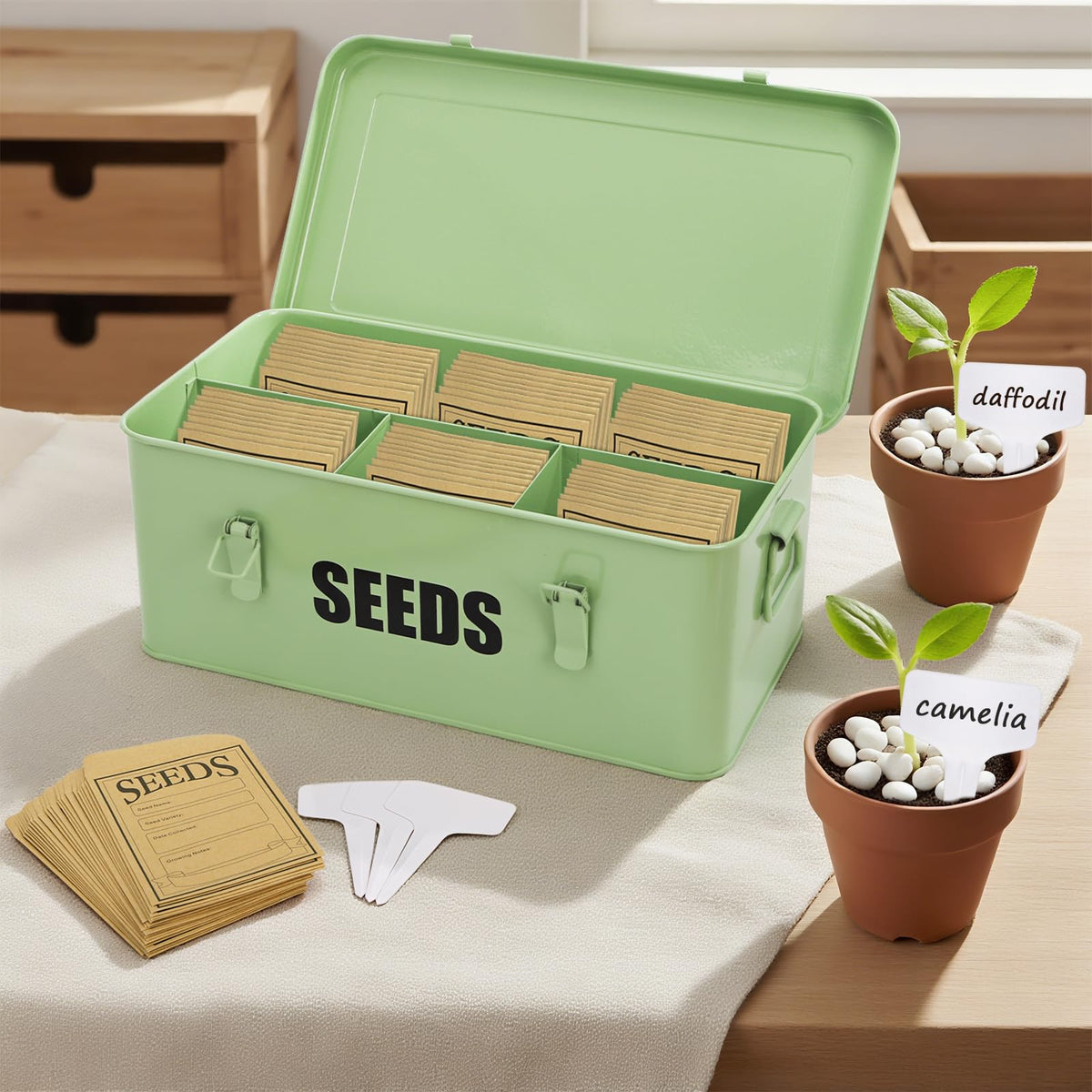 Seed Saving Box with 4 Compartments