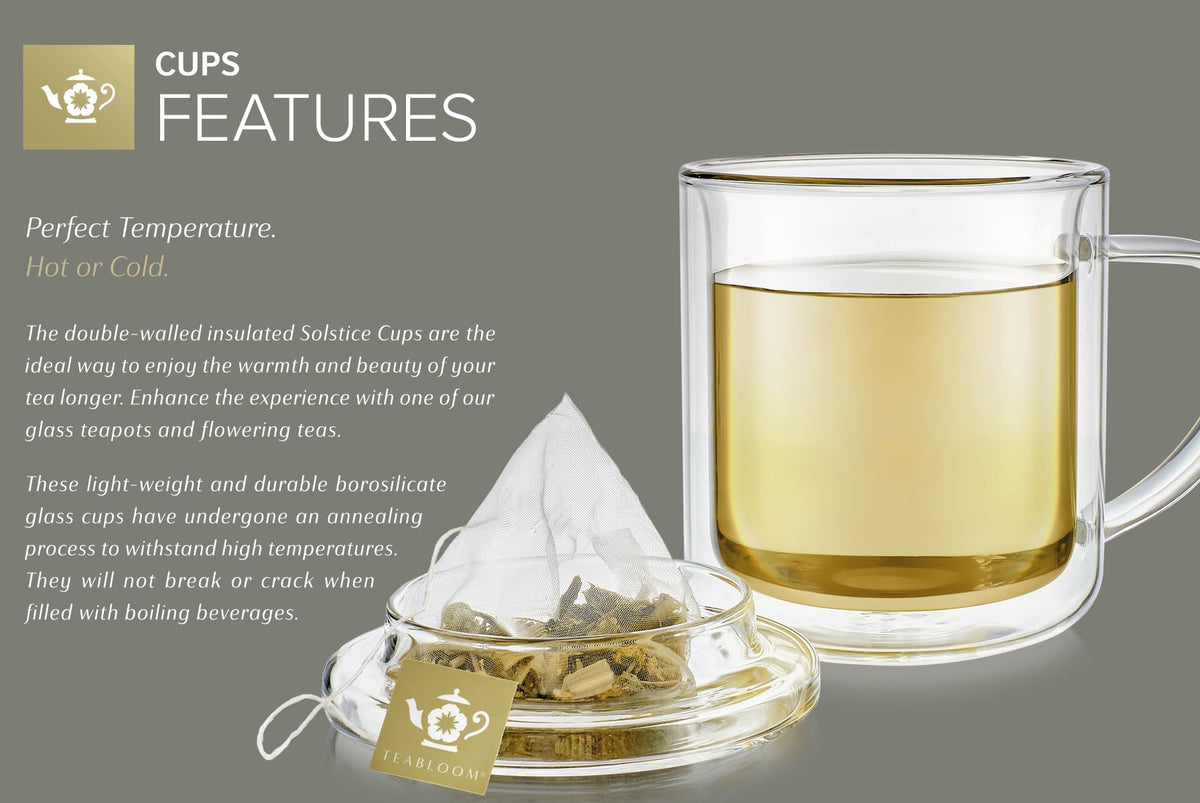 Double Wall Glass Cups with Lids (2 Count)