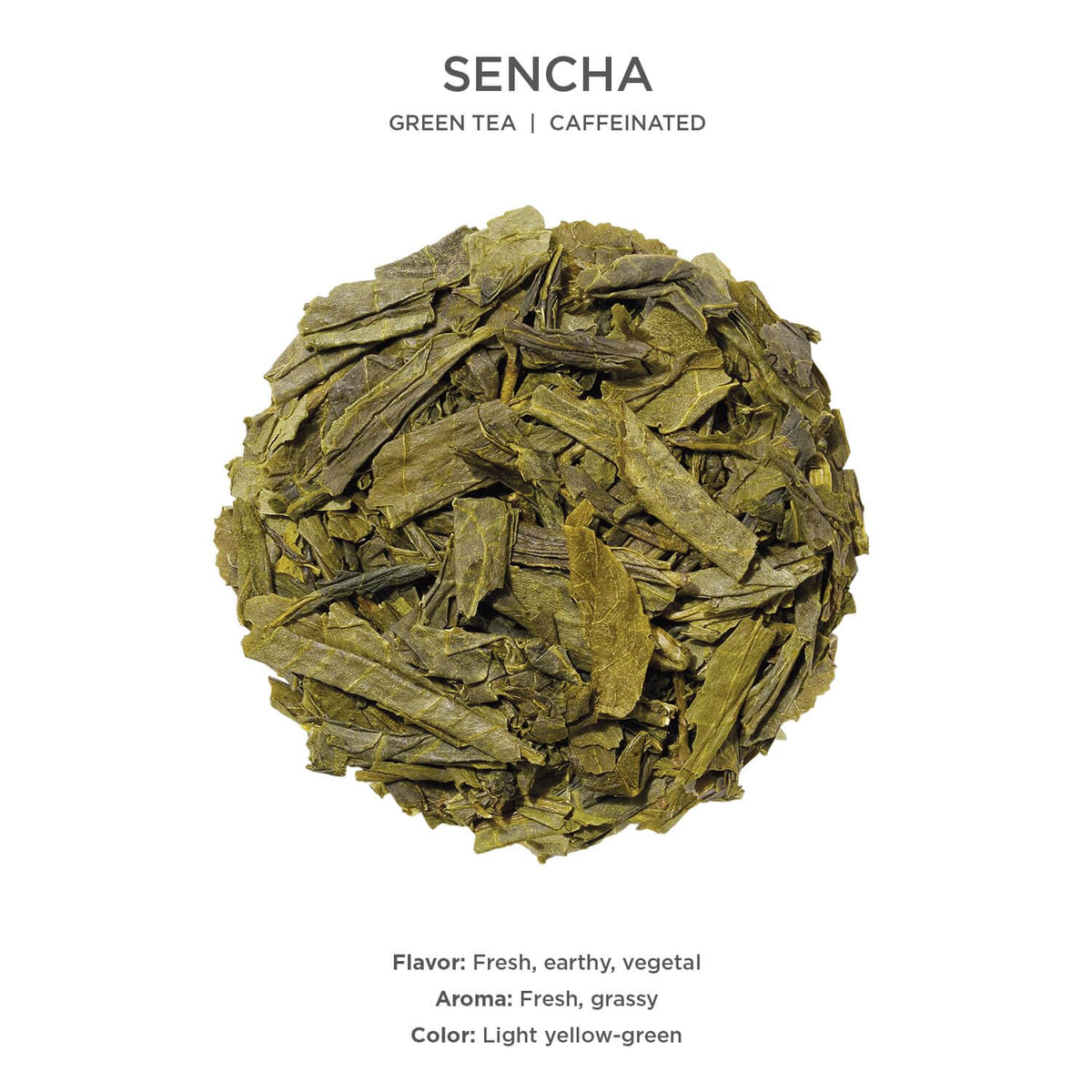 Sencha Loose Leaf Tea Canister (2.82 Ounce)