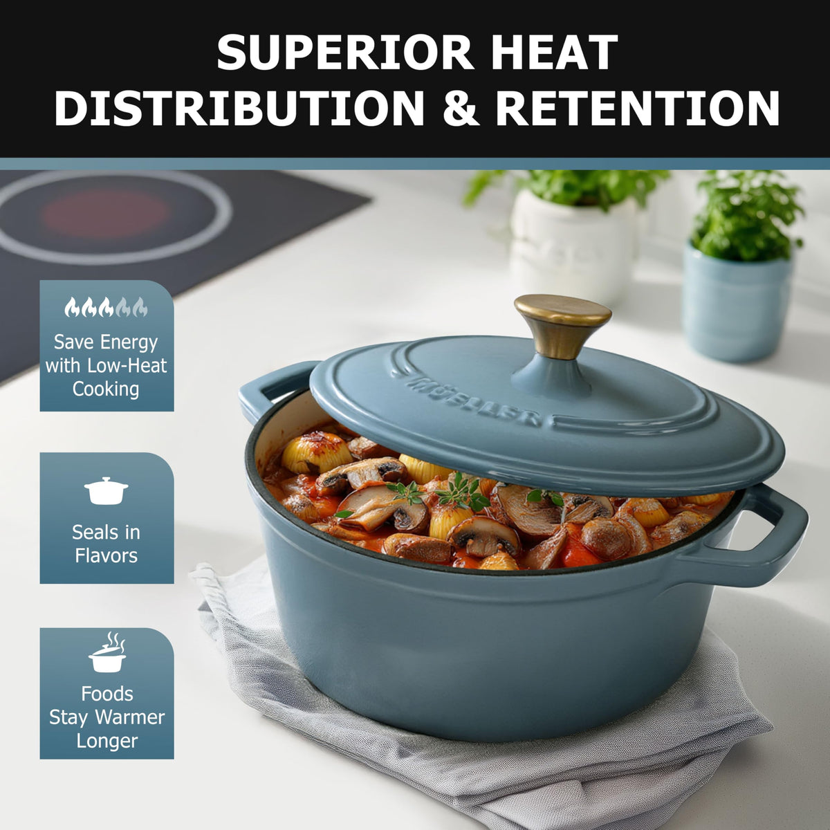 6 Quart Enameled Cast Iron Pot Dutch Oven