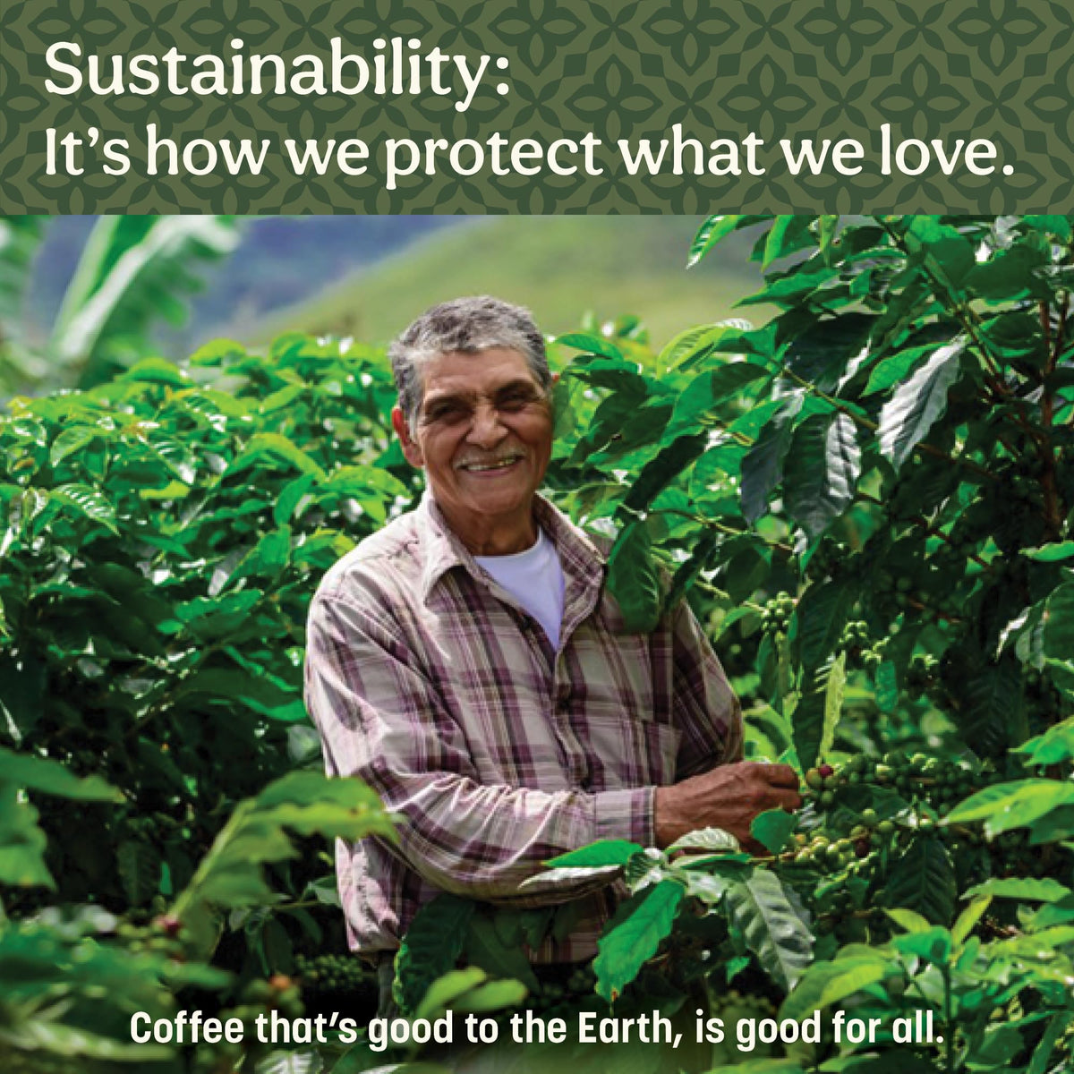 Hawaiian Hazelnut Ground Coffee Can (10 Ounce)