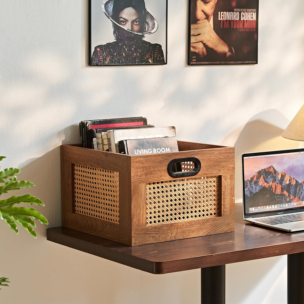 2 Pack Vinyl Record Storage Crates