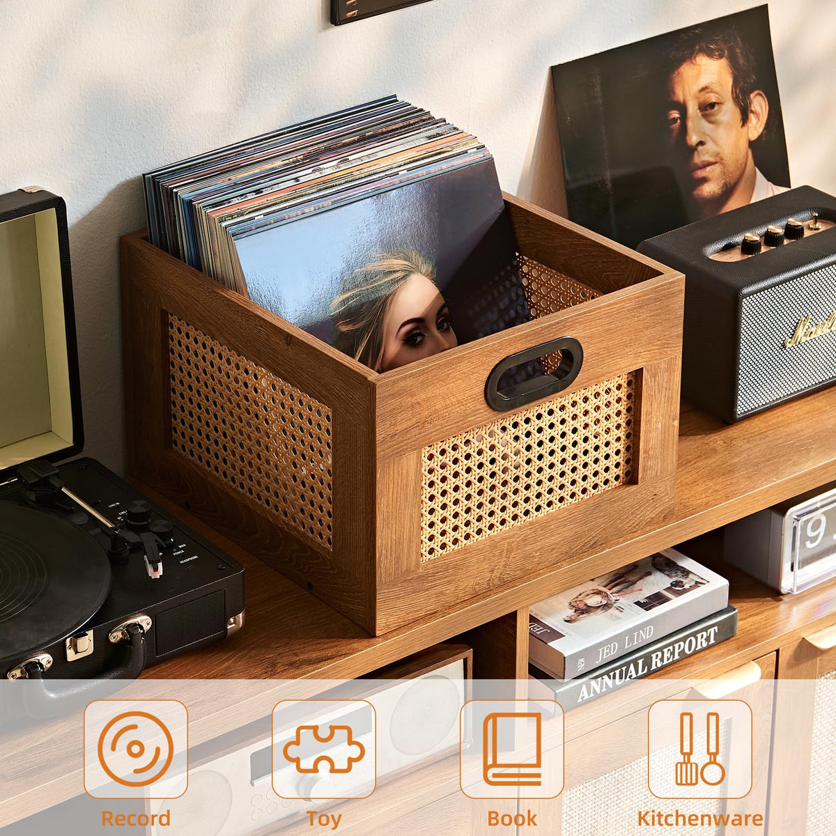 Vinyl Record Storage