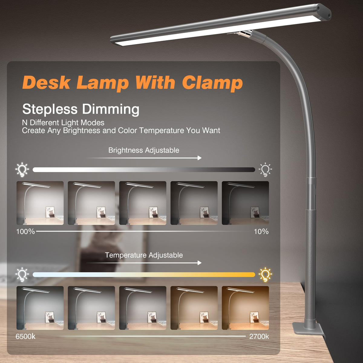 LED Desk Lamp with Clamp