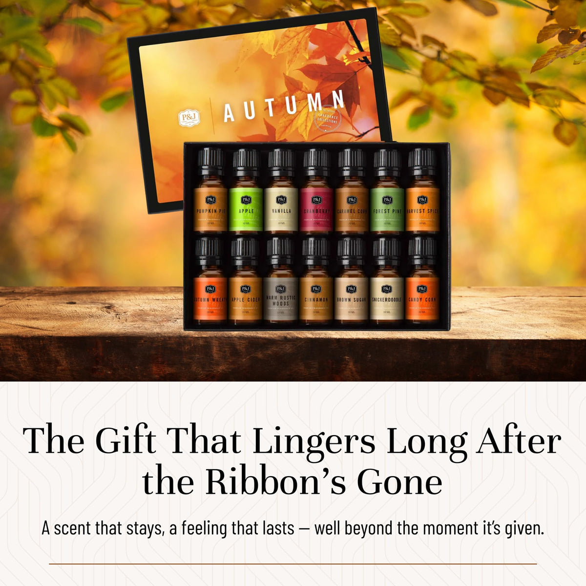 Fragrance Oil Autumn Set of 14 Fragrance Oils for Candle Making (4.76 Fl Oz)