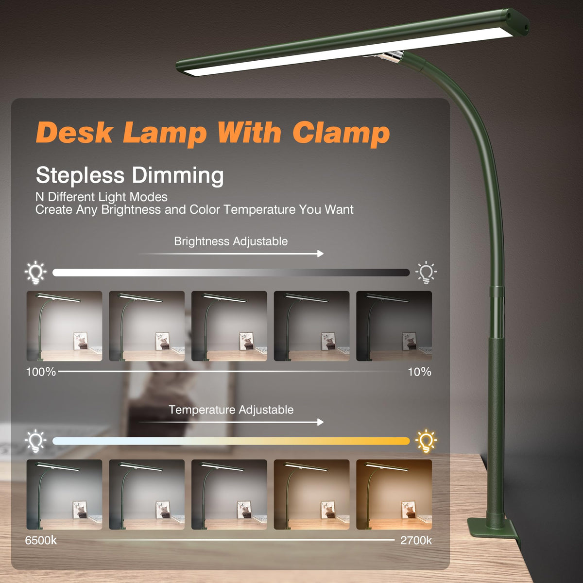 LED Desk Lamp with Clamp