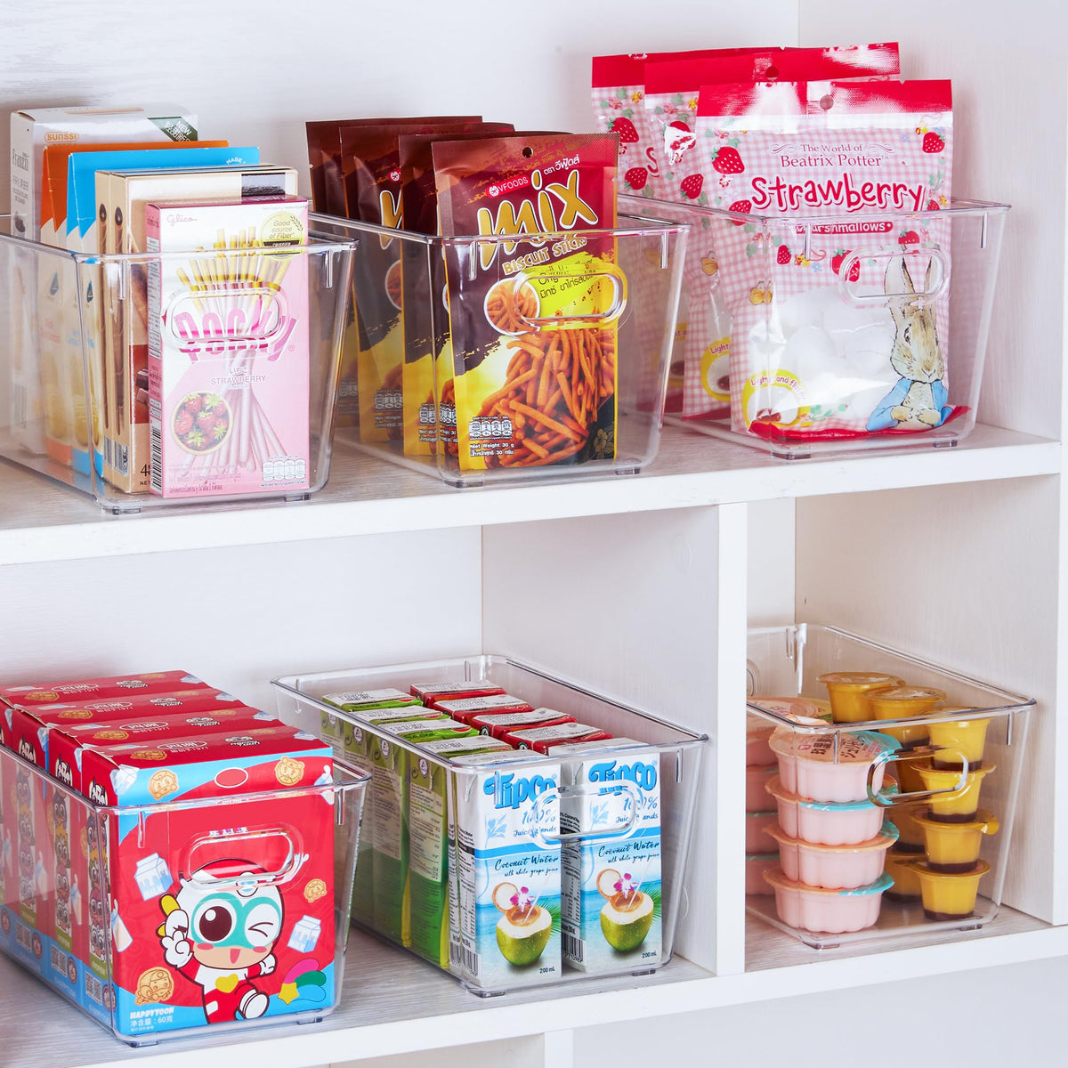 2 Pack Clear Storage Bins (2 Count)