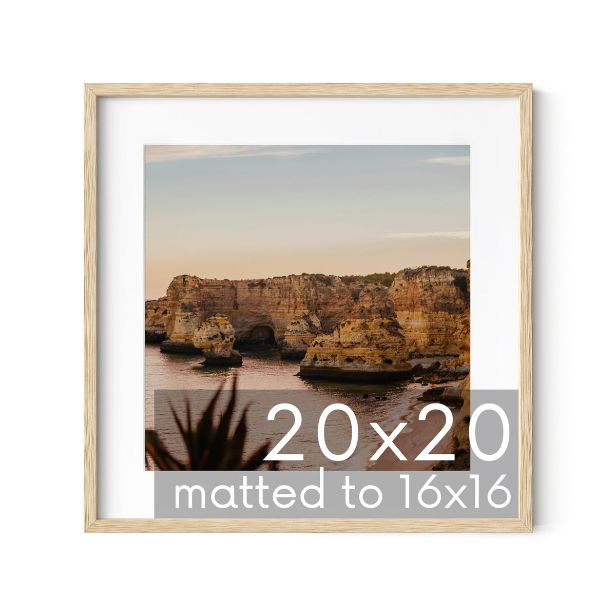 Beige Oak Wood 20x20 Picture Frame Matted to 16x16