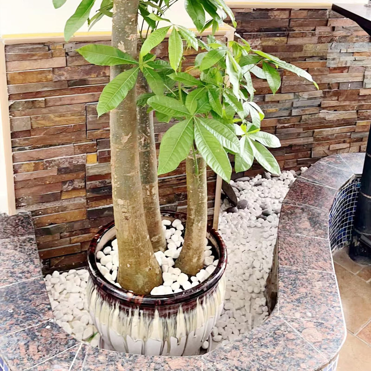 20 lbs White River Rocks for Landscaping