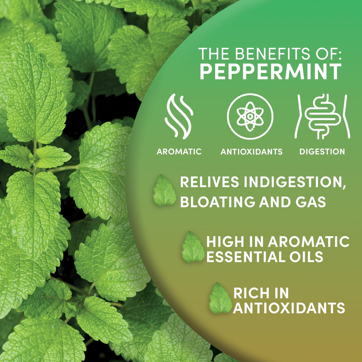 Organic Peppermint Loose Leaf Tea (4 Ounce)