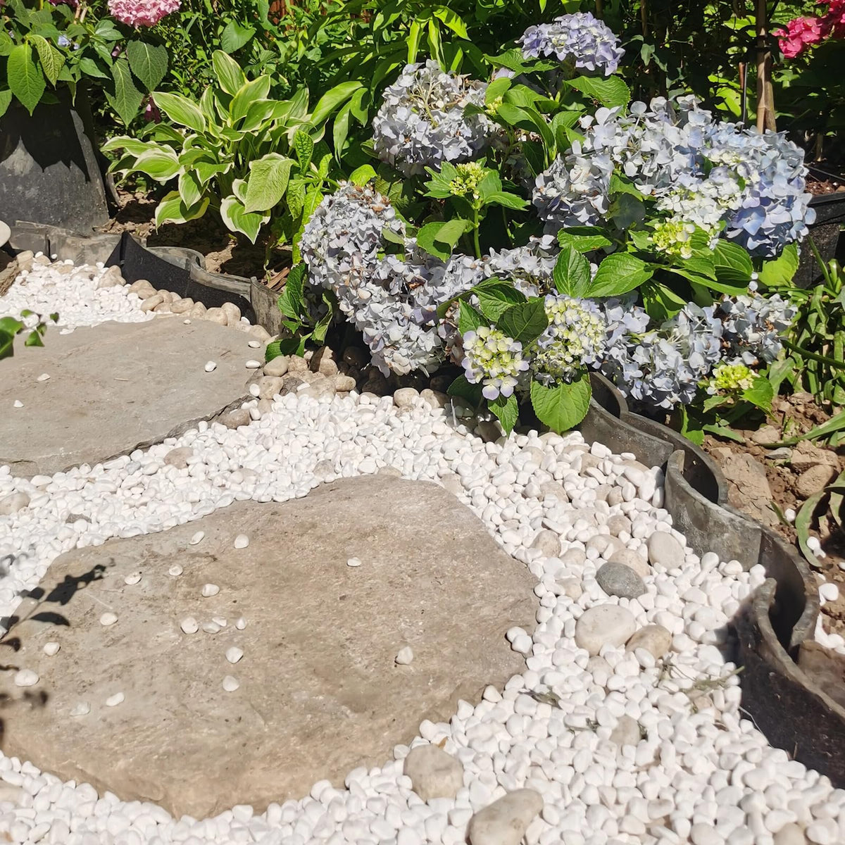 10 lbs White River Rocks for Garden